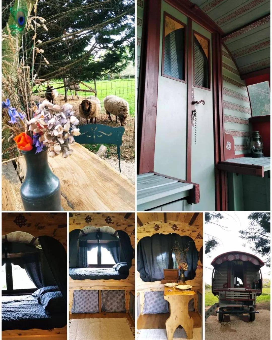 Roulotte Irlandaise Polly Hotell Saint-Vincent-en-Bresse Exteriör bild